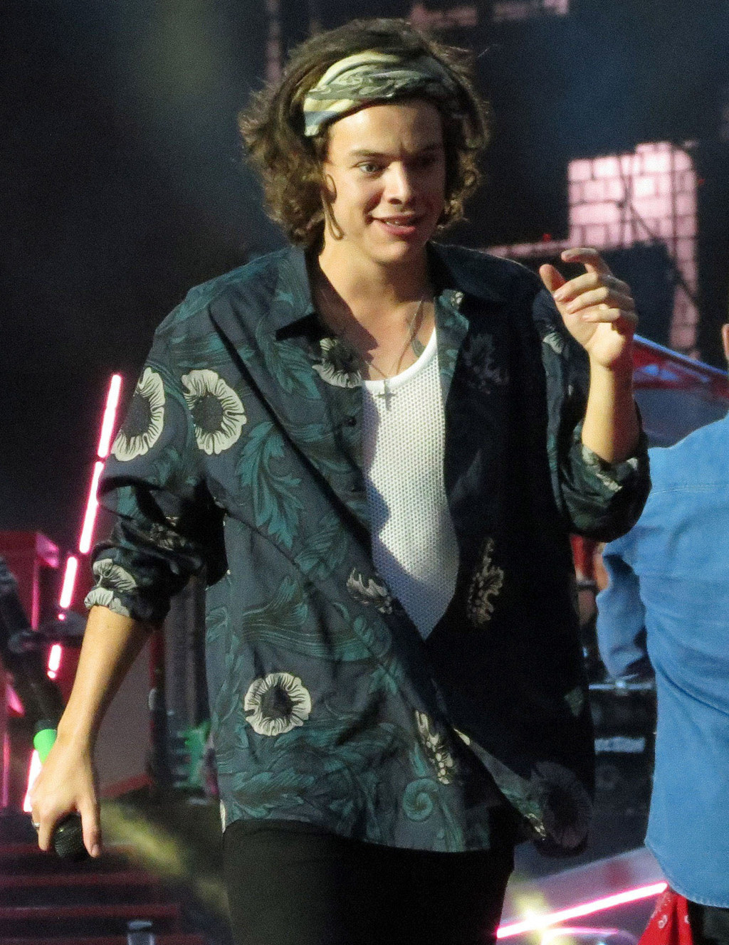 Proof That Harry Styles Is Turning Into Steven Tyler