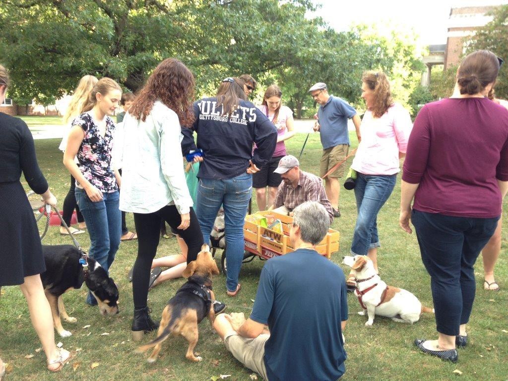 In the beginning of the school year, during midterms, and finals week, professors and faculty, community members, and other students bring their dogs to campus in order to let students relieve some angst by playing with dogs. This "fur therapy" is a great way for you to take your mind off stressful topics!