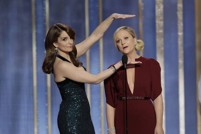 There Are Finally Tina Fey And Amy Poehler Action Figures