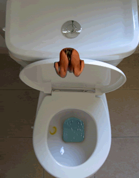 Clean your toilet. The love story between you and your toilet needs to be sung. Your toilet was there for you after the Night of 11 Tequila Shots and the time you tried the new burrito place. Give a little back by spraying the inside of the bowl with whatever blue goop you have under the sink and using some clorox to make the ceramic shiny and white angain.