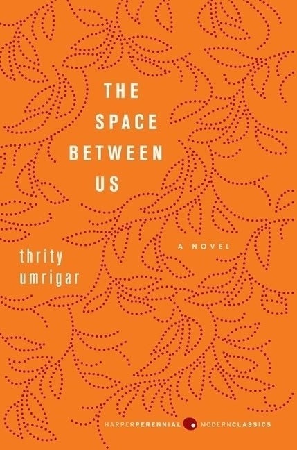 The Space Between Us by Thrity Umrigar