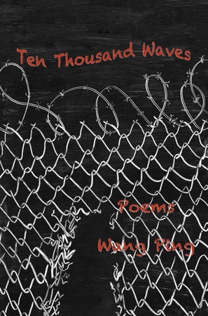 Ten Thousand Waves by Wang Ping