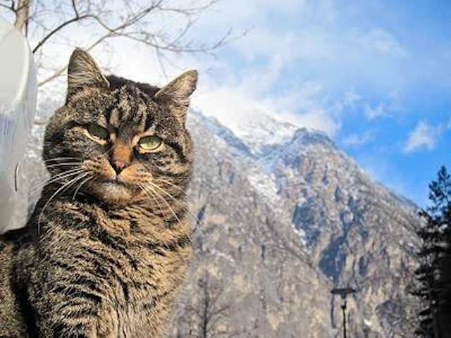 I went to the mountains