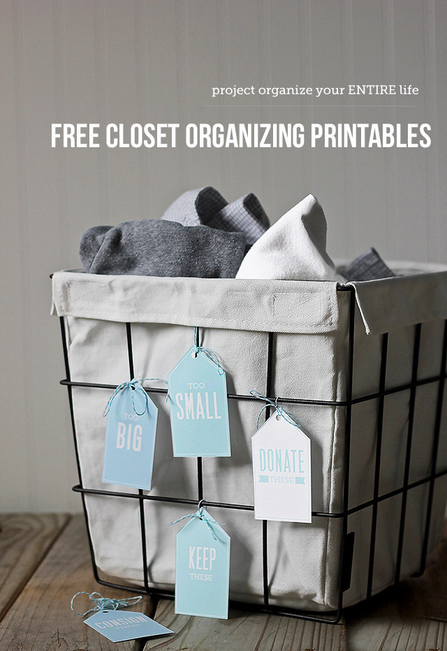 Project Organize Your ENTIRE Life Quick Tip: Baskets! - Modern Parents  Messy Kids