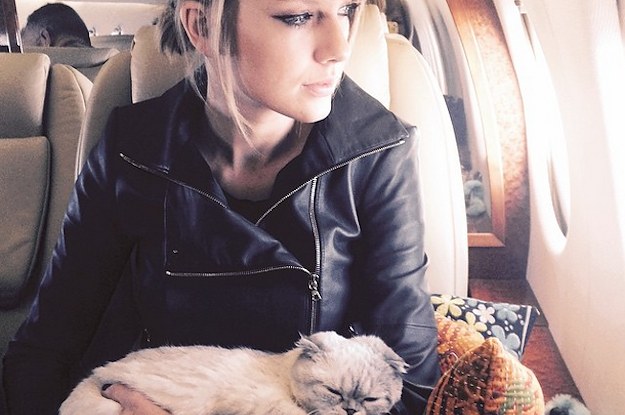 7 Purrfect People To Cat-Sit Taylor Swift's Cats While She's On Tour