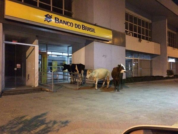 "Amigo, seu trabalho é cansativo e chato, eu sei, mas não tenho nada a ver com isso."Fora que pensem comigo: para poder pagar todas aquelas taxas abusivas é preciso trabalhar, é um absurdo você ter que sair do trabalho para resolver questões do banco.