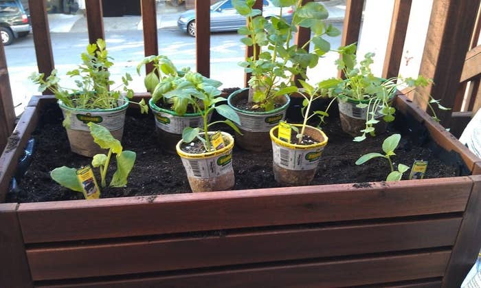 19 Genius Ways To Use Ikea Products As Your Garden