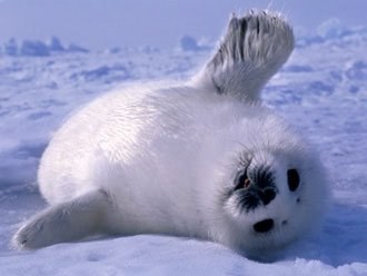 Just look at his encouraging pose!