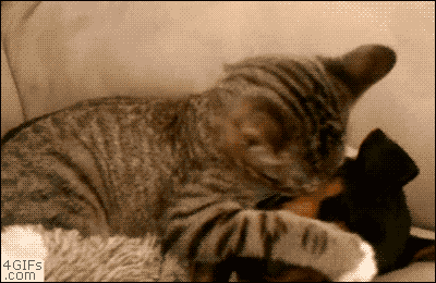 Just getting cozy!