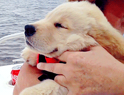 So smile, buddy.
