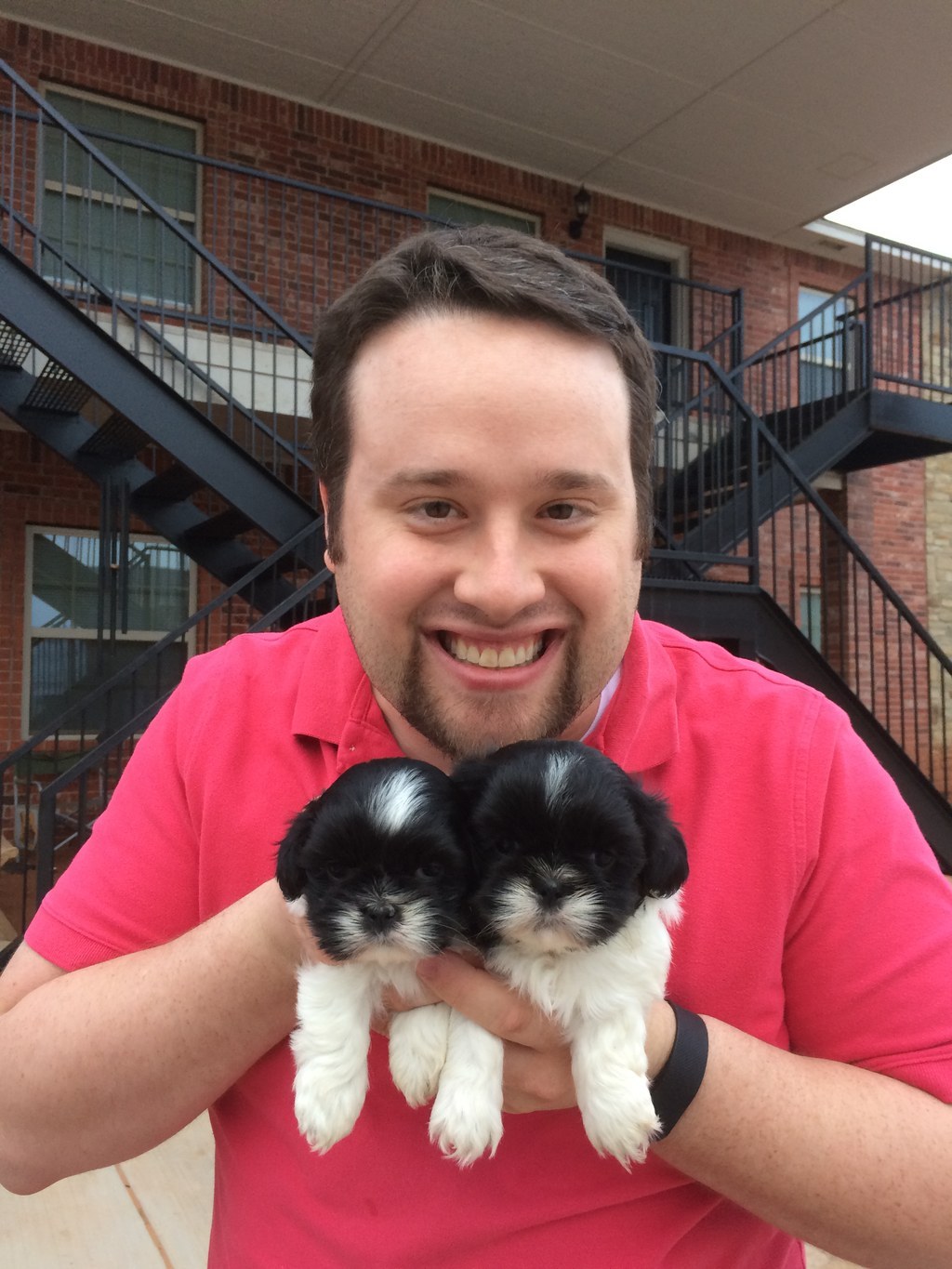 ...the dreams and goals of owning all the puppies in the world...