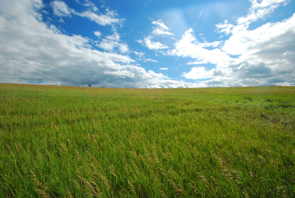 25 Stunning Prairie Photos That'll Make You Want To Move To The Midwest