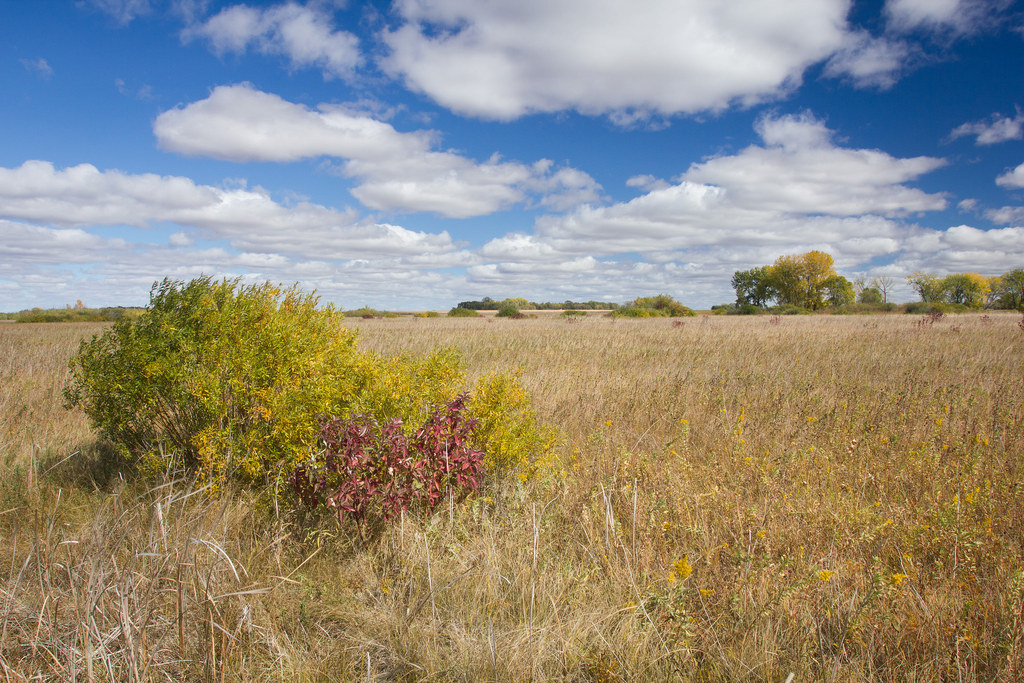 25 Stunning Prairie Photos That'll Make You Want To Move To The Midwest