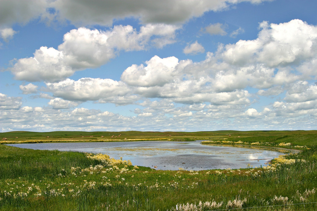 25 Stunning Prairie Photos That'll Make You Want To Move To The Midwest