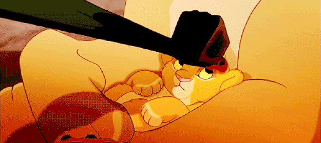 You could miss 15-20 minutes of class and yes, you felt like Simba.