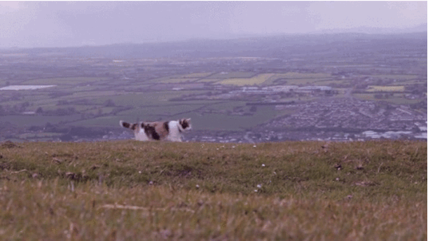 The Comeragh Mountains.