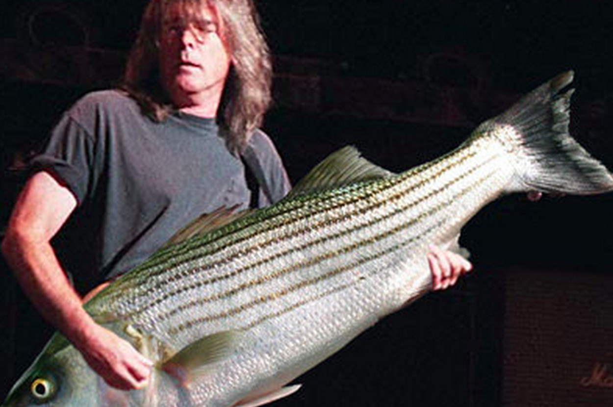 19 Problems That Only Bass Players Will Understand