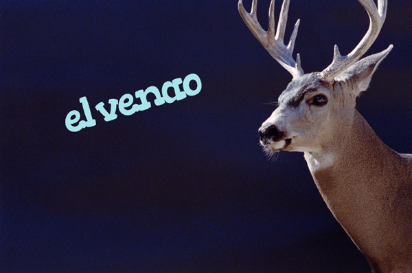 This catchy song that allows for some serious hand-busting moves tells the story of a man who refuses to be called a deer, which makes sense, since it means his girl has been unfaithful. Pobrecito, but it's a great song.