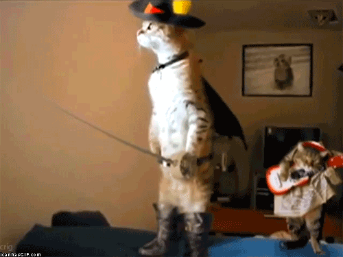 Puss in boots (and serenader)