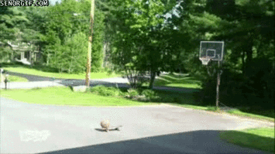 They could've just played basketball. Instead they combined three sports together.