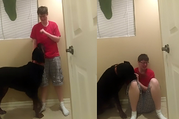 Uma mulher autista fez um vídeo de seu cão a ajudando durante uma crise