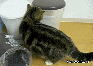 While that is impressive, you're not really fooling anyone.