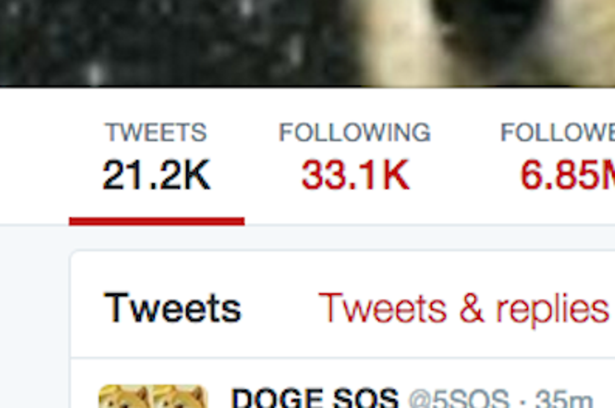 5SOS Have Changed Their Name (Temporarily???) To Doge SOS, image size:1250x830