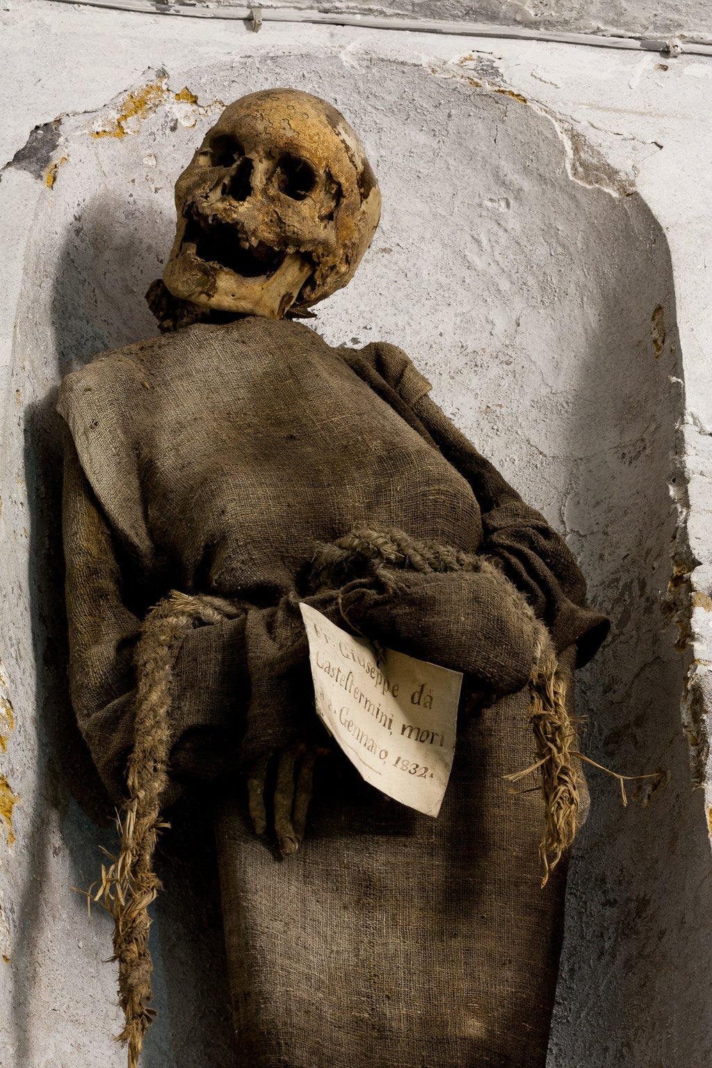 Palermo priest mummies.