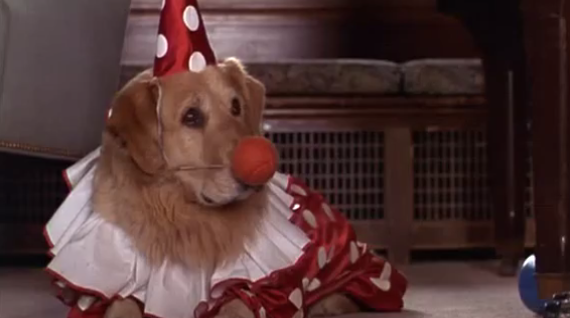 can dogs eat pudding like air bud