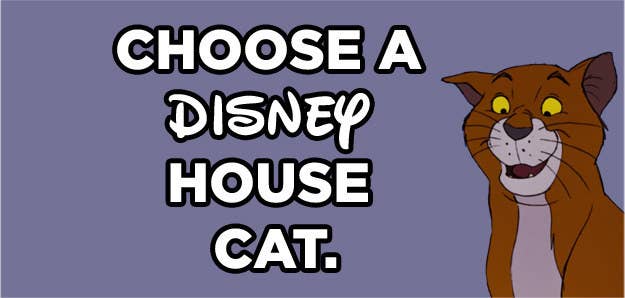 Which Animal Matches Your Personality? Which Animal Matches Your Personality?