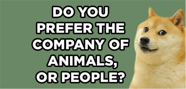 Which Animal Matches Your Personality?