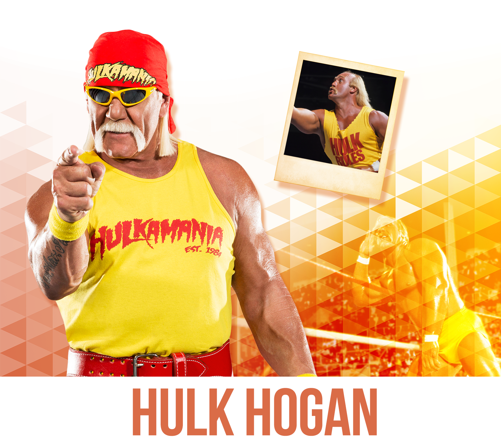 Tell Me About Yourself(ie): Hulk Hogan