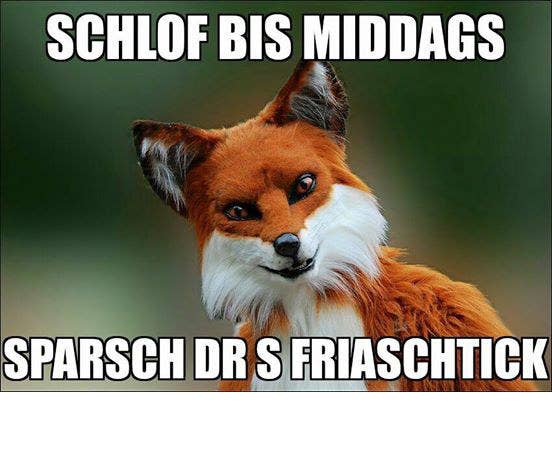 29 Spruche Die Bloss A Echdr Schwob Verstod