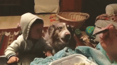 "I've got opposable thumbs, bitch." -- that baby.