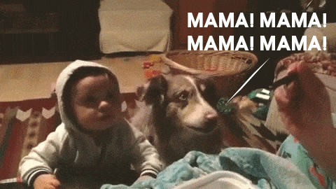 "MAMA!!! MAAAAMAAAA!!! I'M A DOG AND I'M SPEAKING DAMMIT, FEED ME!"