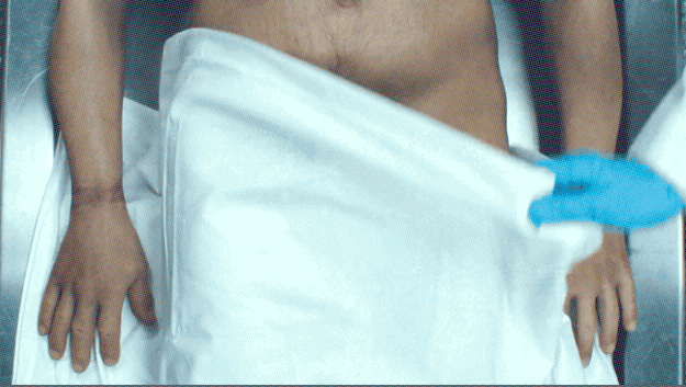 This GIF makes a good response to any unwanted dick pics.