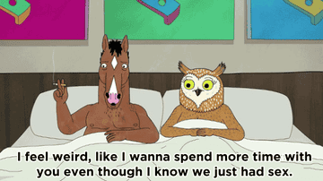 The Trailer For Bojack Horseman Season 2 Is Here