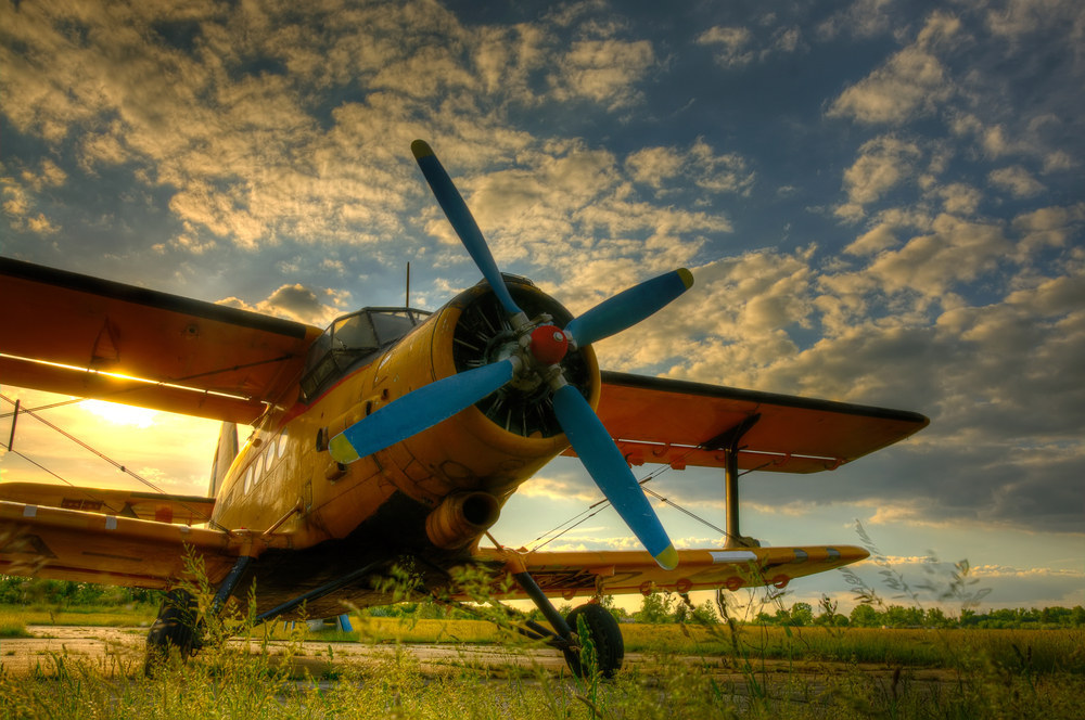 Commercial air travel was first made possible in Illinois. Jane Eads, a reporter from the Chicago Herald, was the first-ever commercial passenger. She flew from Maywood to Iowa City on July 1, 1927, on a Boeing biplane and freaked out the whole time.
