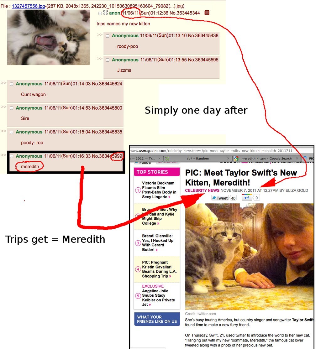T-Swift has been caught snooping and posting on one of the most notorious websites on the internet, 4Chan. Seriously. This website was known for promoting targeted suicides, hacking contests, featuring animal and child abuse, and leaking celebrity photos. The website's influencers are supposedly anonymous, but some users have been able to identify Swift.One of her major accusations? Forcing people to help her name her cat, but God only knows what else she's got planned.