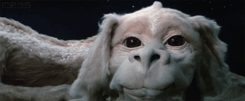 Falkor