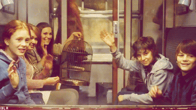 Albus, Lily, James, Hugo, and Rose as they navigate their first years at Hogwarts. It'd be the perfect opportunity to dive into the ways the wizarding world's changed in the years since the second wizarding war, if house rivalries have evened out, and if the Internet boom finally cracked the division between the Muggle and wizarding worlds when Muggle-born children refused to relinquish their cell phones and their wi-fi.