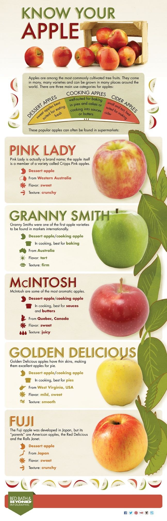 All about Apples [Infographics] | ecogreenlove