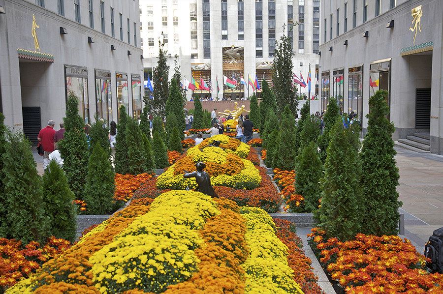 Rockefeller Center might be a building complex, but it's also home to the Channel Gardens which feature different types of blooms that constantly change throughout the year.
