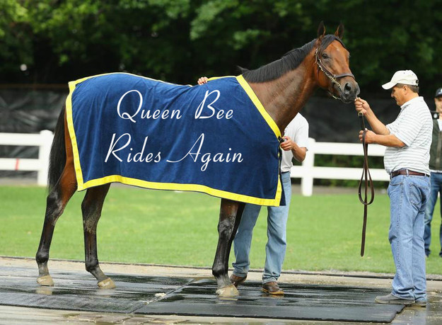 Queen Bee Rides Again