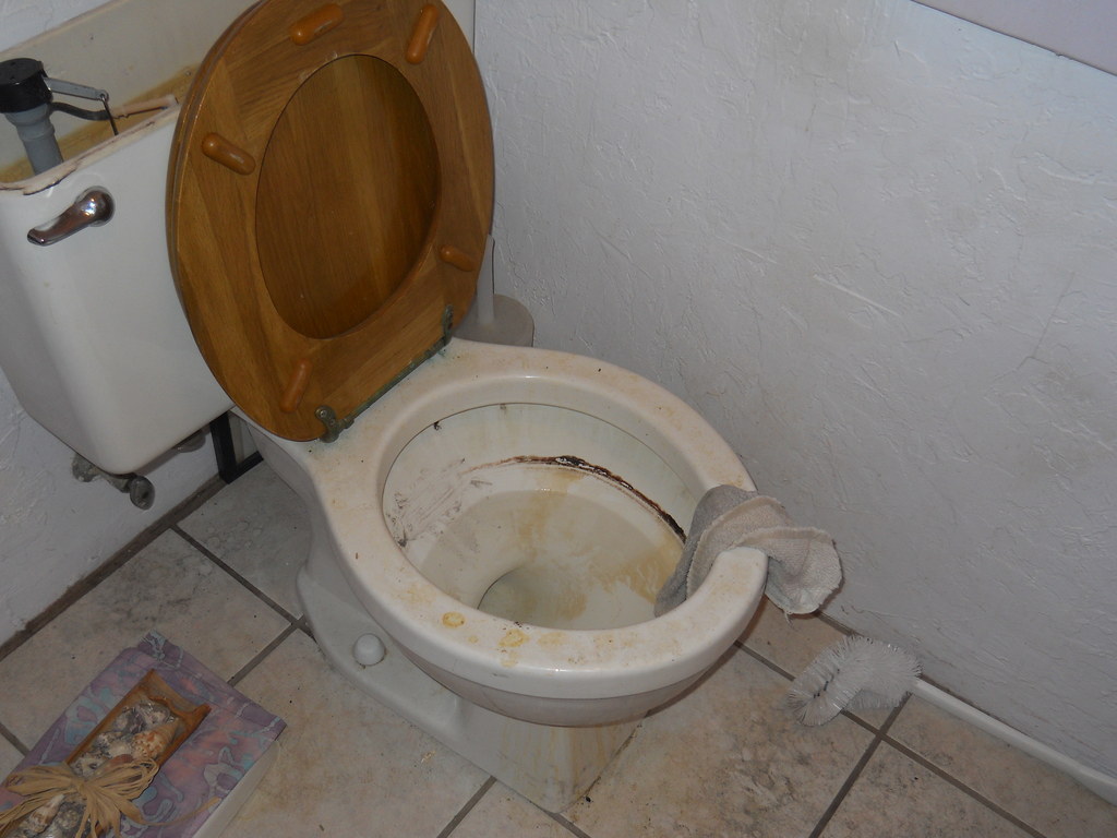 Сонник видела грязного. Грязный туалет в офисе.