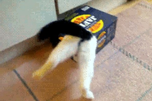 8 De Vos Questions Genantes Sur Le Sexe Expliquees Grace A La Science