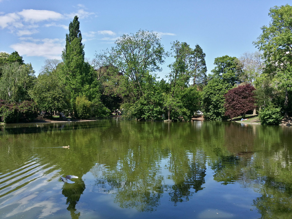 In Vienna there are many ways to immerse yourself into nature. With options such as strolling through city parks, swimming in the Danube, skiing in the Austrian Alps, hiking nearby hills with amazing views, or exploring the forest in the Vienna Woods, there is certainly no lack of outdoor adventure.