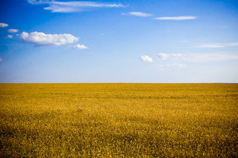 Its natural landscape looks like the Ukrainian flag brought to life.