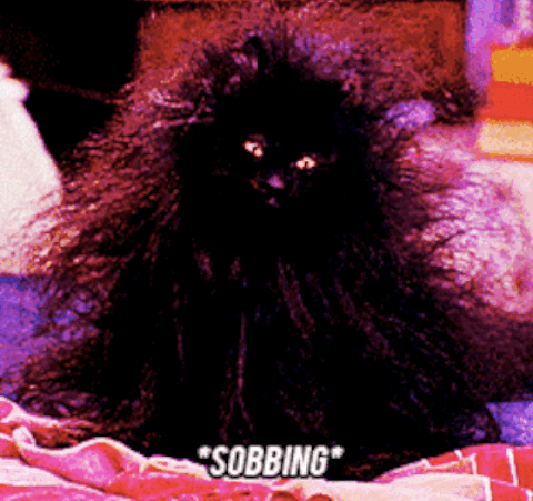 Is your hair naturally straight? Wavy? Curly? Springy? It doesn't matter, because you're gonna wear it frizzed.