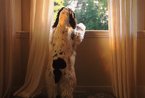 He's making sure no cops are showing up and has his walkie on hand to alert anyone if they do.